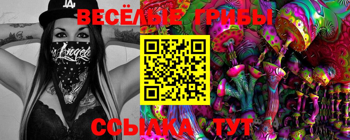 Галлюциногенные грибы GOLDEN TEACHER Нововоронеж